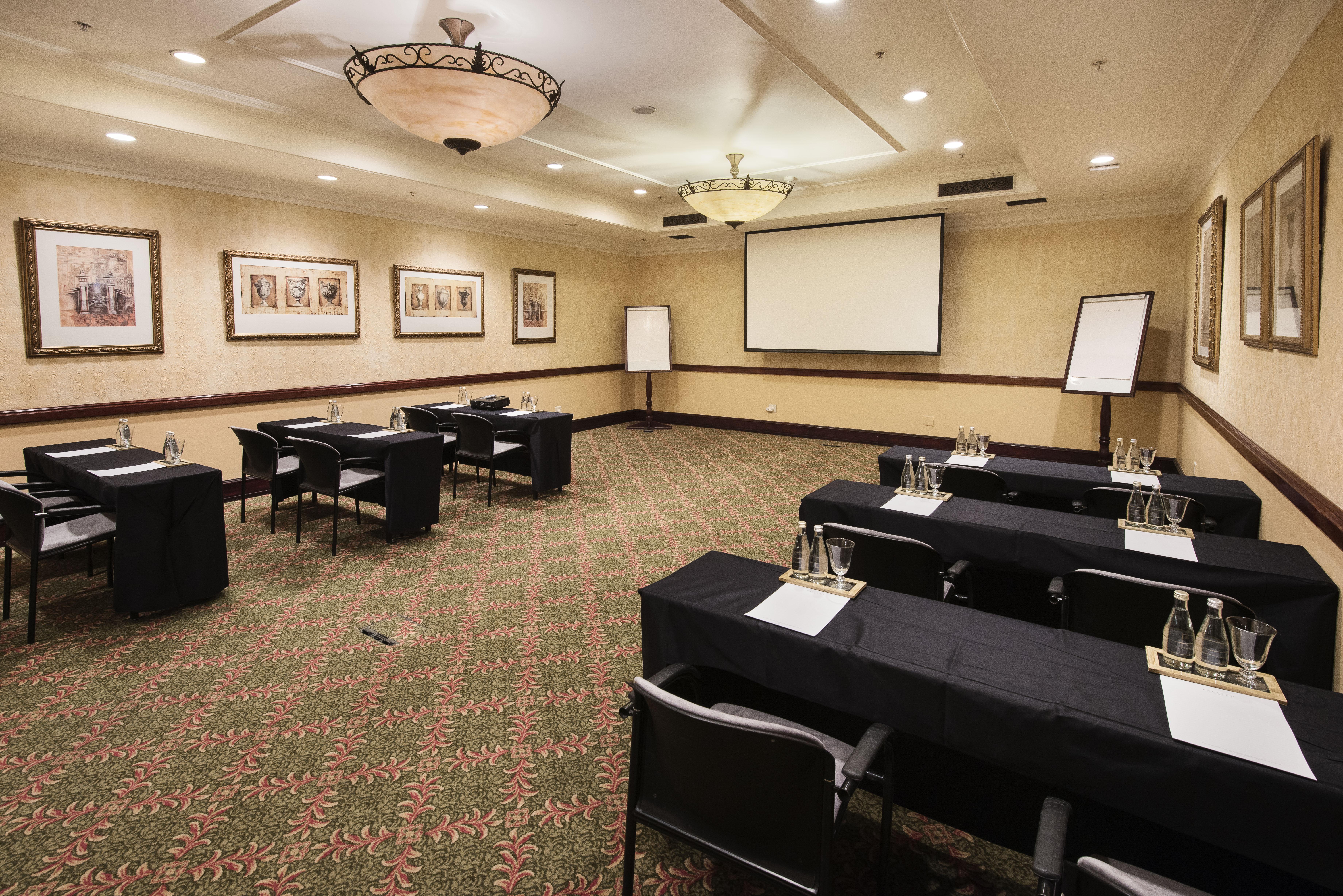 Palazzo Hotel Fourways Exterior photo A typical meeting room